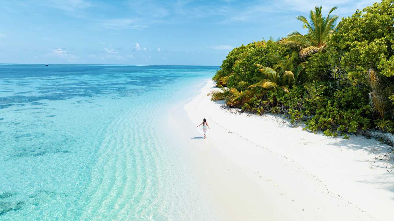 Urlaub im November auf den Malediven Tropischer weißer Strand mit Palmen und einer Frau