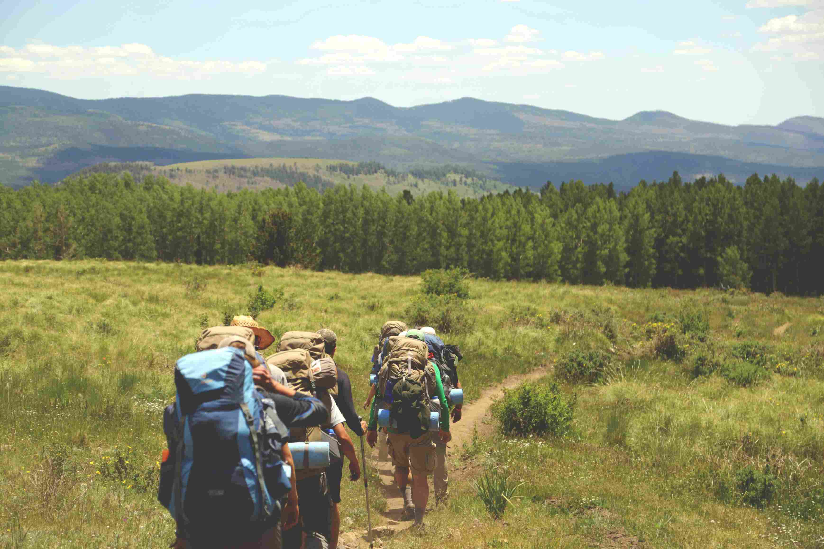 wandergruppe Eine gruppe von Wanderern mit Ausrüstung wandert durch eine grüne Hügellandschaft
