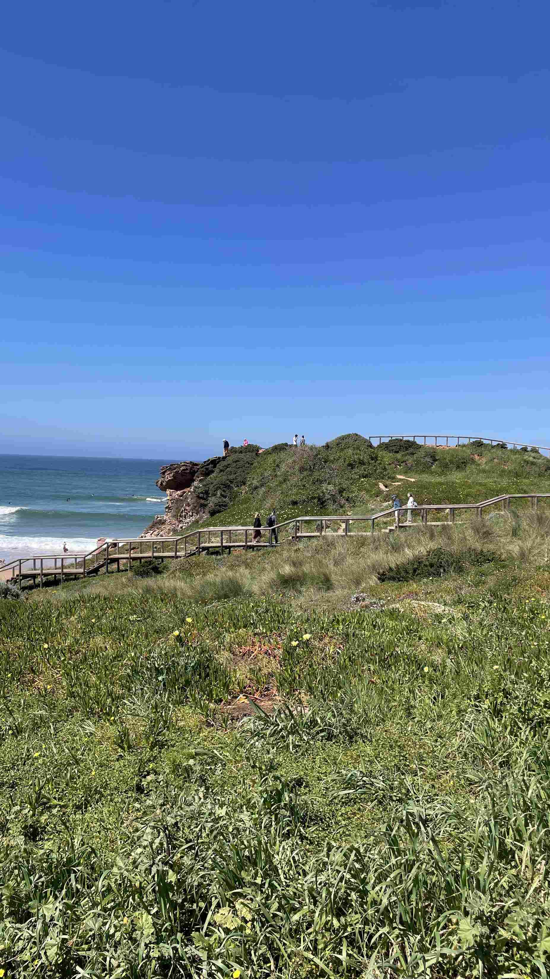 Ein Holzsteg führt durch eine grüne Landschaft zum Ende einer Klippe am Meer
