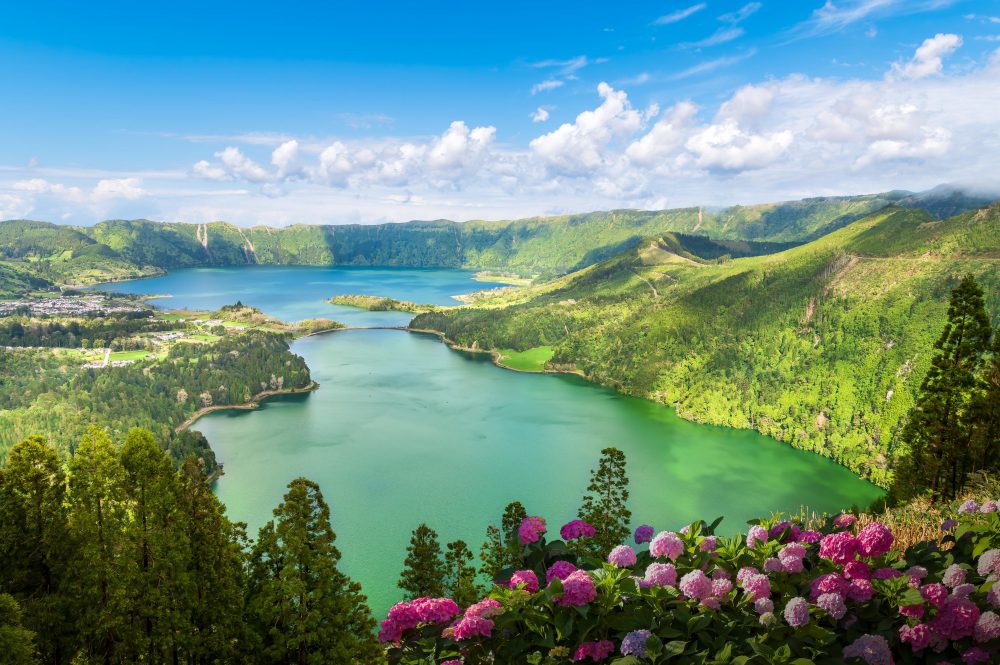 Eine grüne, blumige Landschaft direkt an einem stillen Gewässer