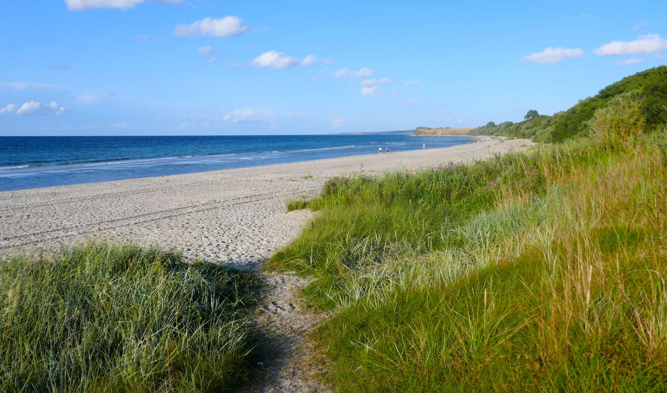 Ein leerer Sandstrand an begrünten Dünen mit ruhigem Meer ostsee-schleswig-holstein