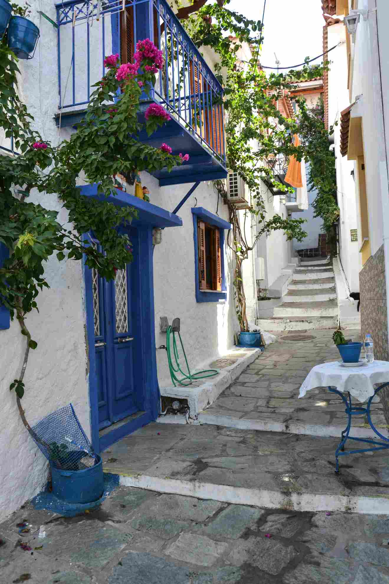 Skiathos Urlaub - Altstadtgasse Eine Gasse mit Kopfsteinpflaster und weißen Häusern mit blauen Türen und Fensterrahmen