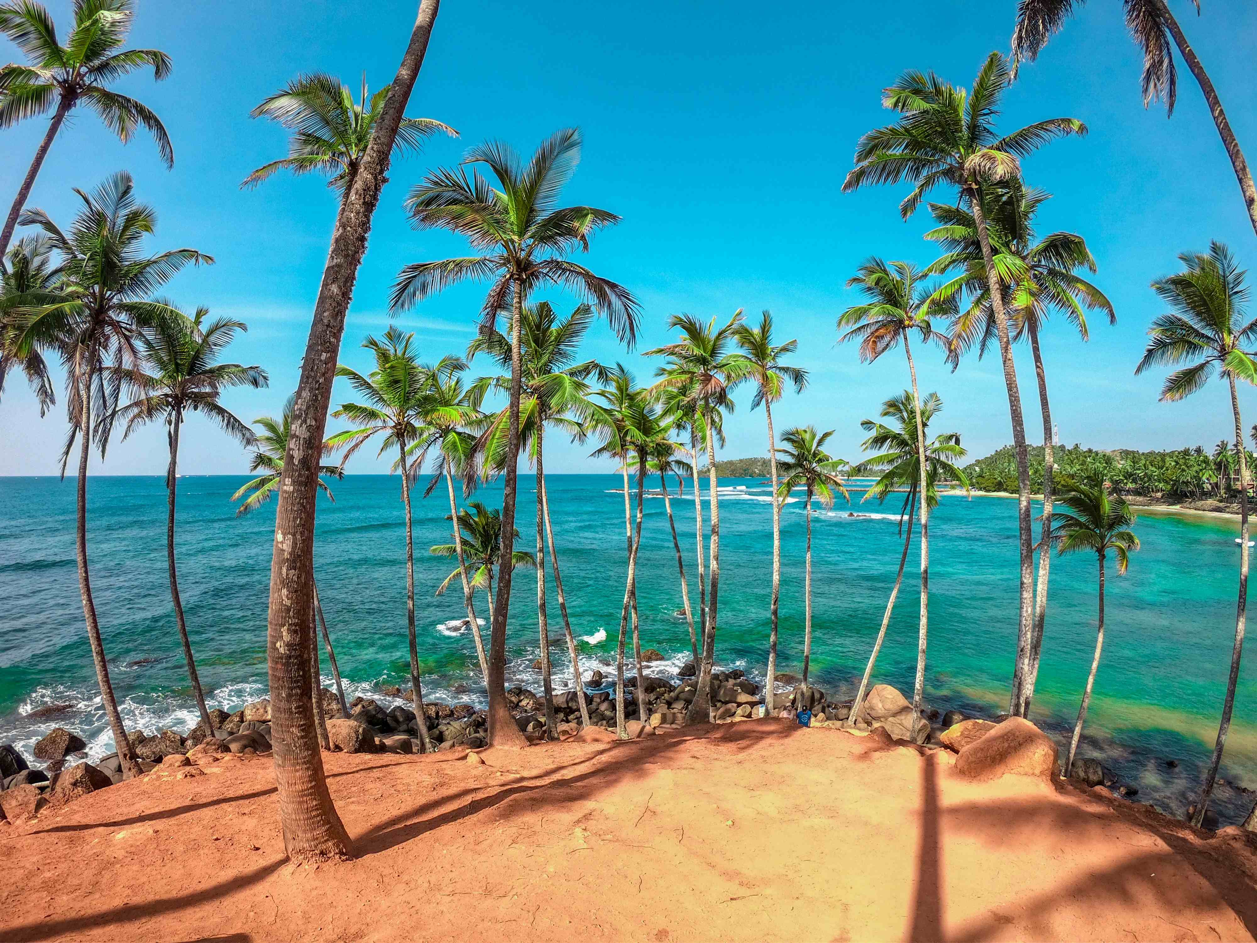 sri-lanka-bucket-list Der berühmte Coconut Tree Hill in Mirissa, Sri Lanka