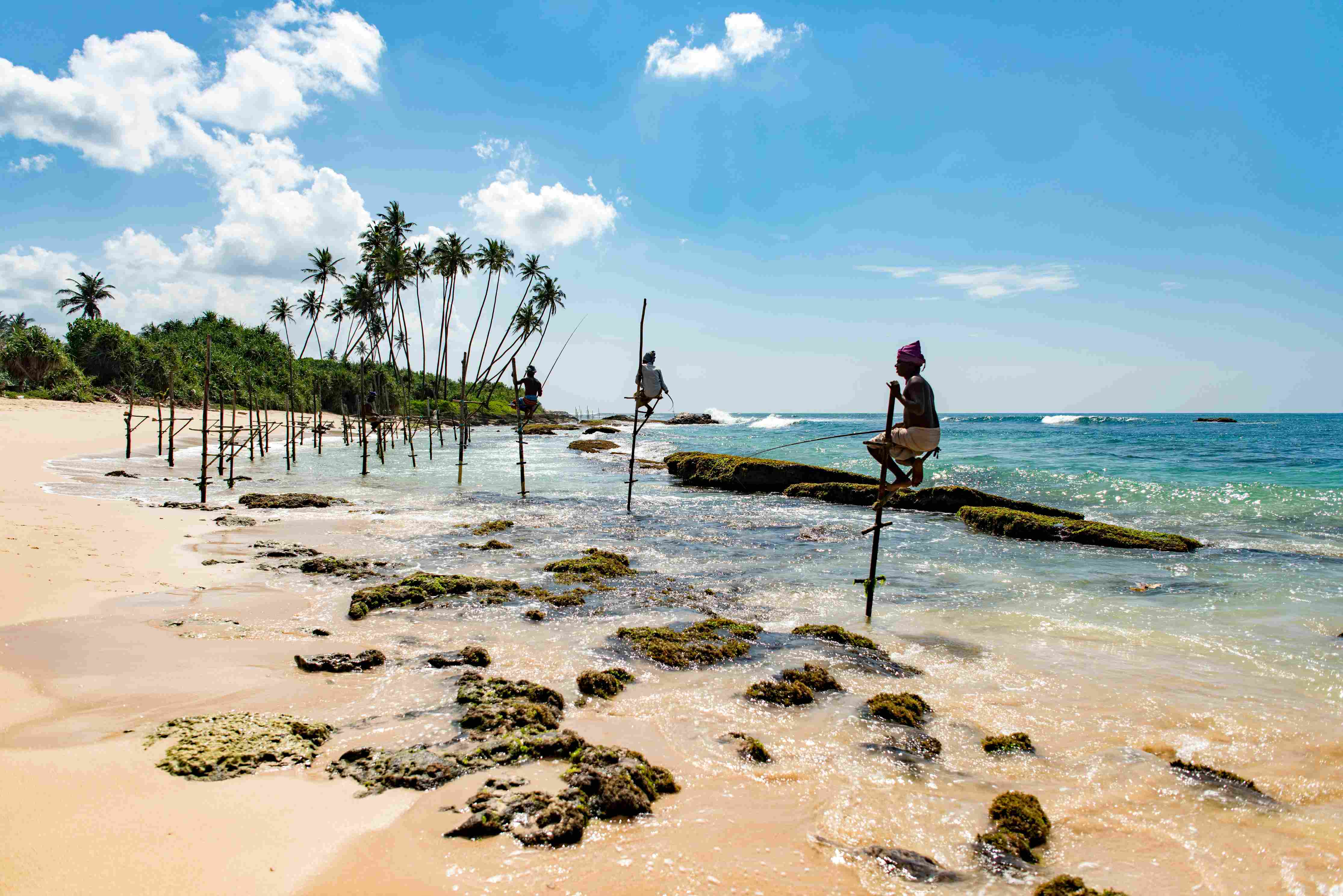 stelzenfischer-sri-lanka Traditionelle Fischer sitzen auf ihren Stelzen am Meeresufer und fischen
