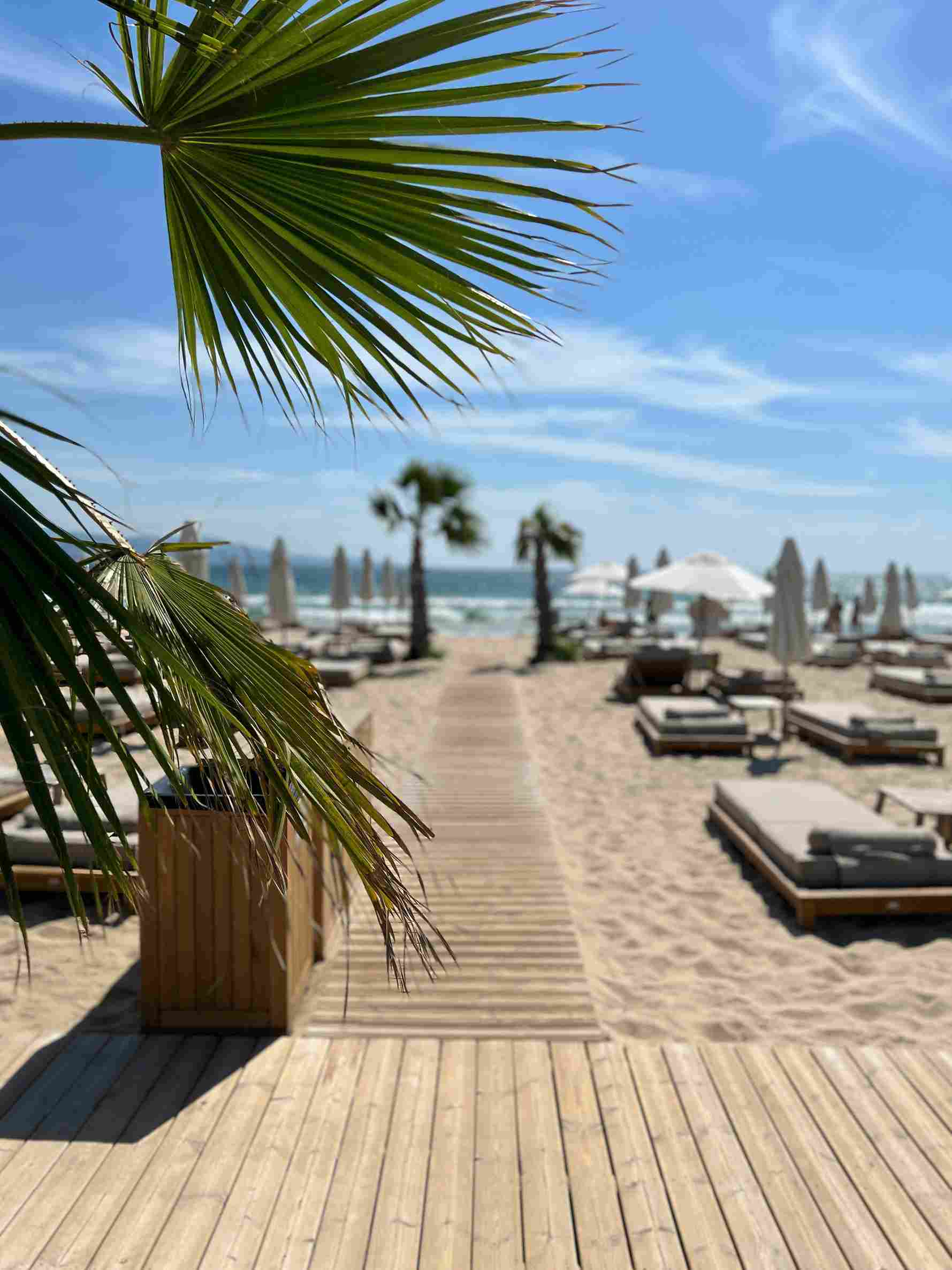 Einige Sonnenliegen mit -schirmen zwischen Palmen an einem Sandstrand