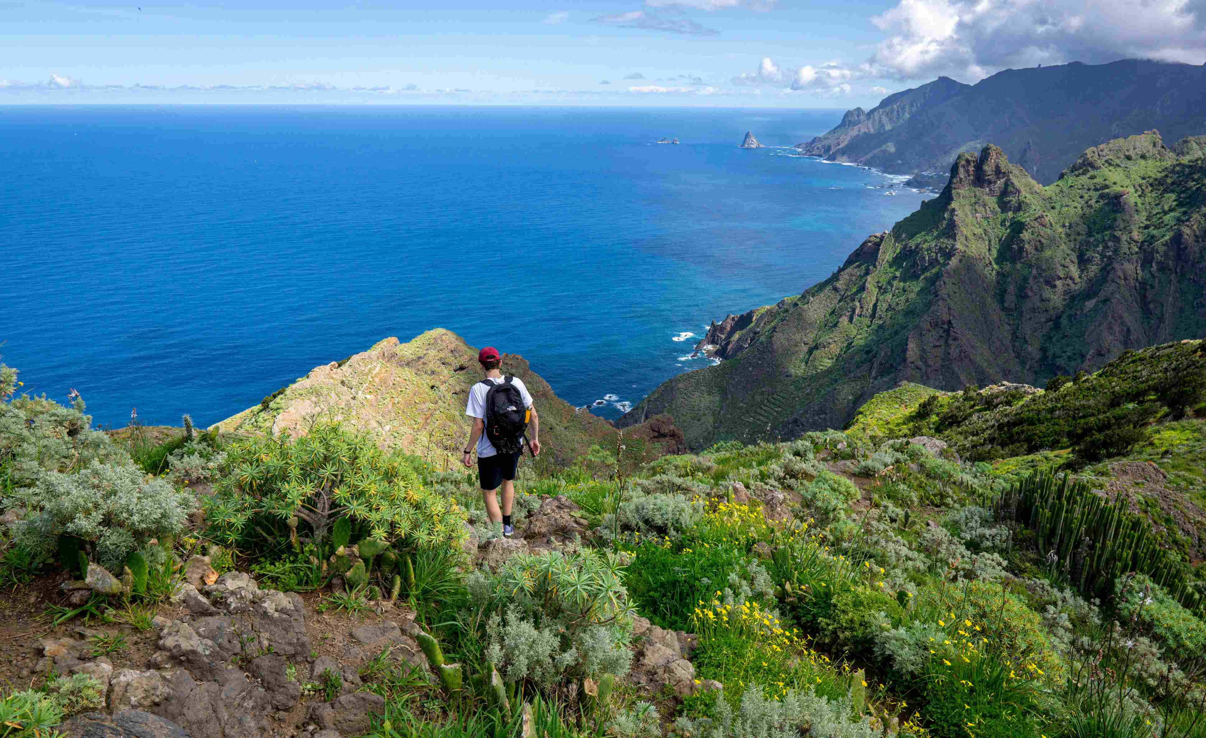 teneriffa-wandern Ein junger Mann läuft mir einem Rucksack auf einem sehr grünen Berg Richtung tiefblauem Meer entlang.