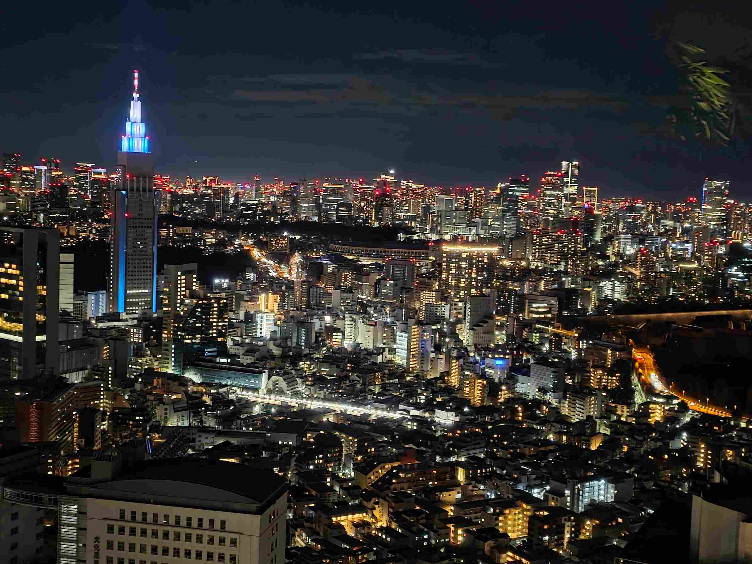 Der Ausblick auf die nächtliche Skyline von Tokio