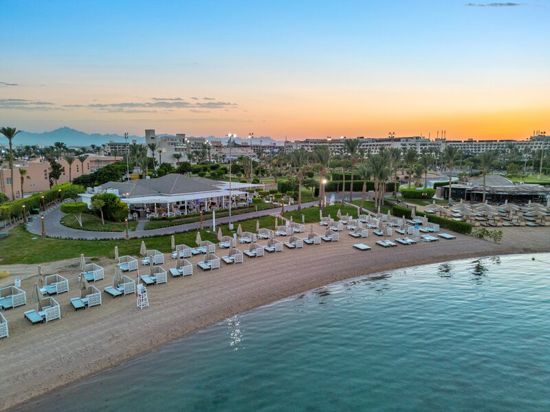 Urlaub im Hotel Steigenberger Pure Lifestyle Strand mit Sonnenliegen und Parkanlage mit Palmen