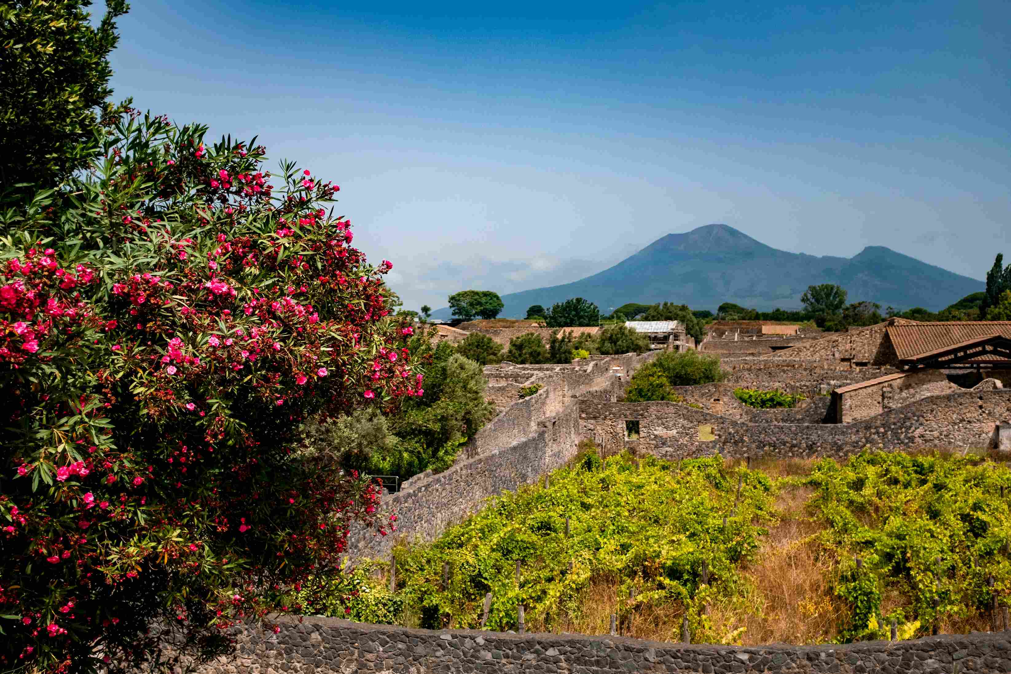 In einer mediterranen Landschaft mit Blumen steht ein ruhiger Vulkan