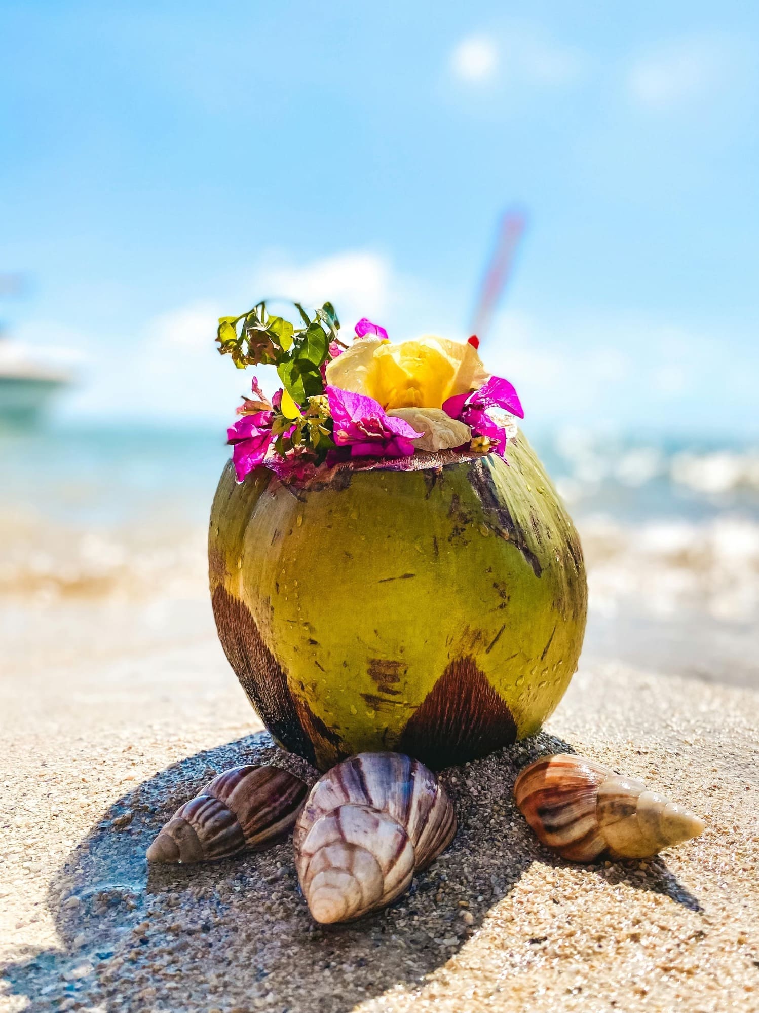 Kokosnuss mit exotischen Blumen am Strand