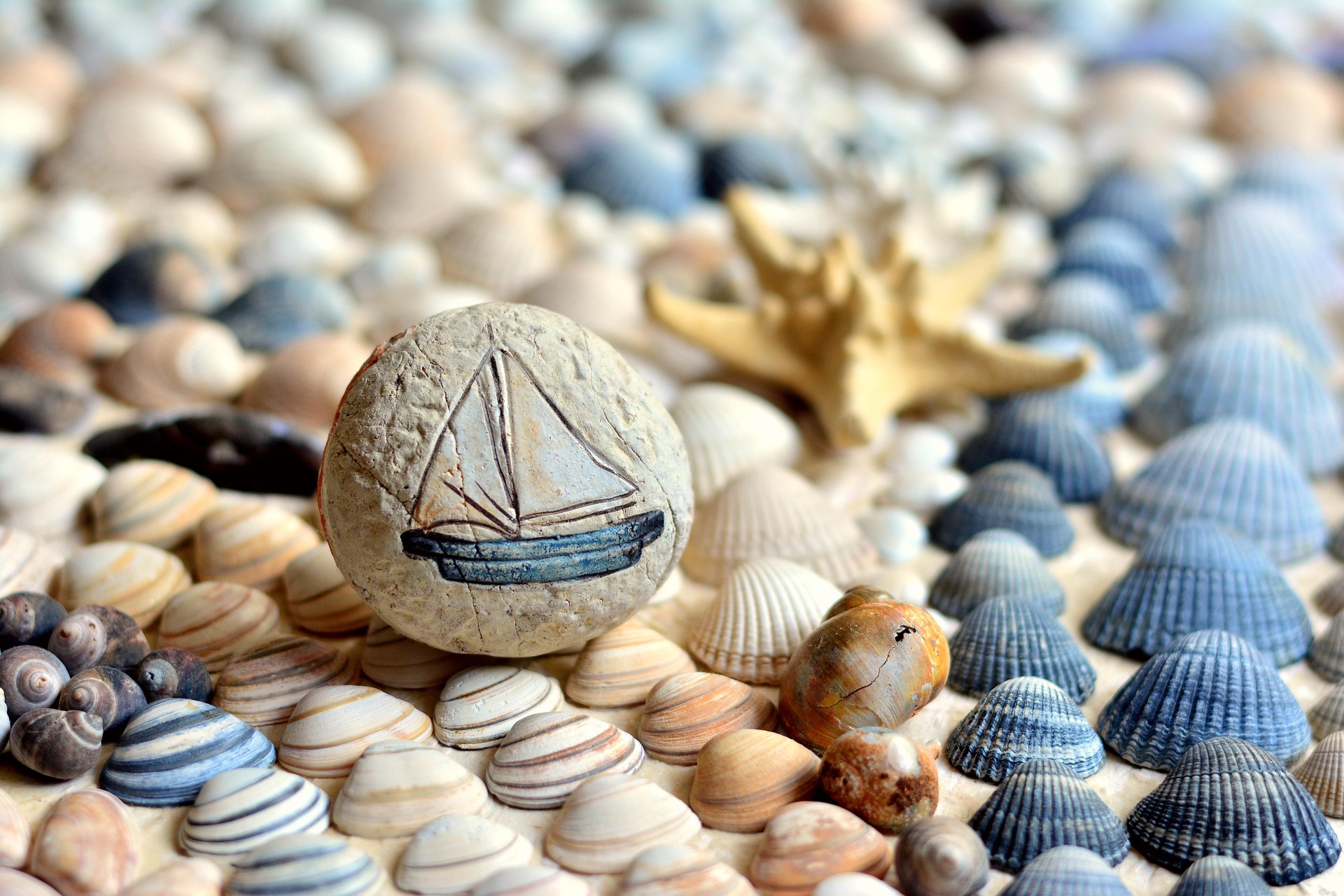 Viele kleine bemalte Muscheln
