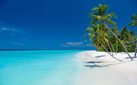 Urlaub auf den Malediven Menschenleerer Strandabschnitt mit Palmen und Türkisen Meer