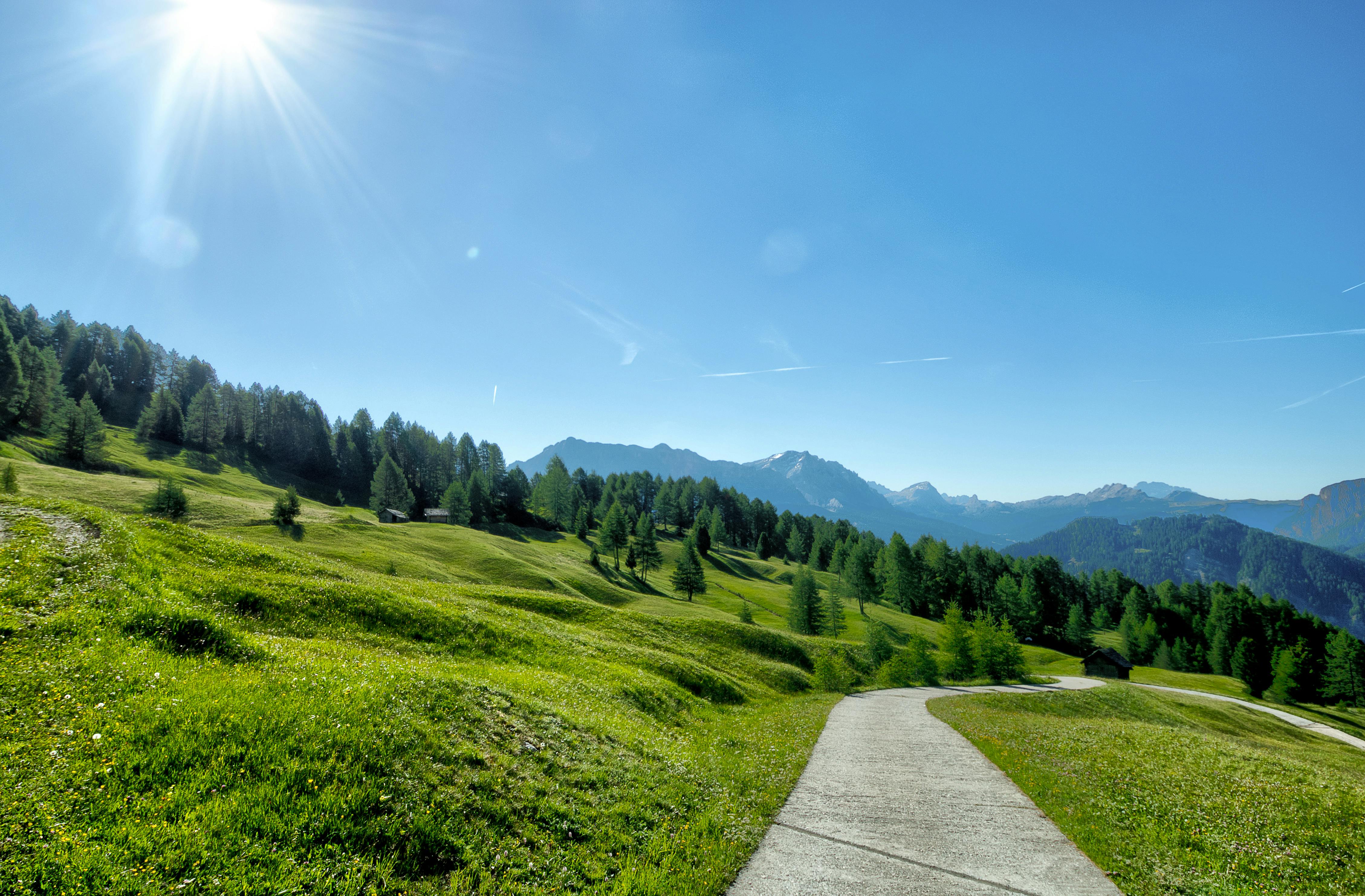 Ein Wanderweg durch eine grüne hügelige Landschaft mit Bergen