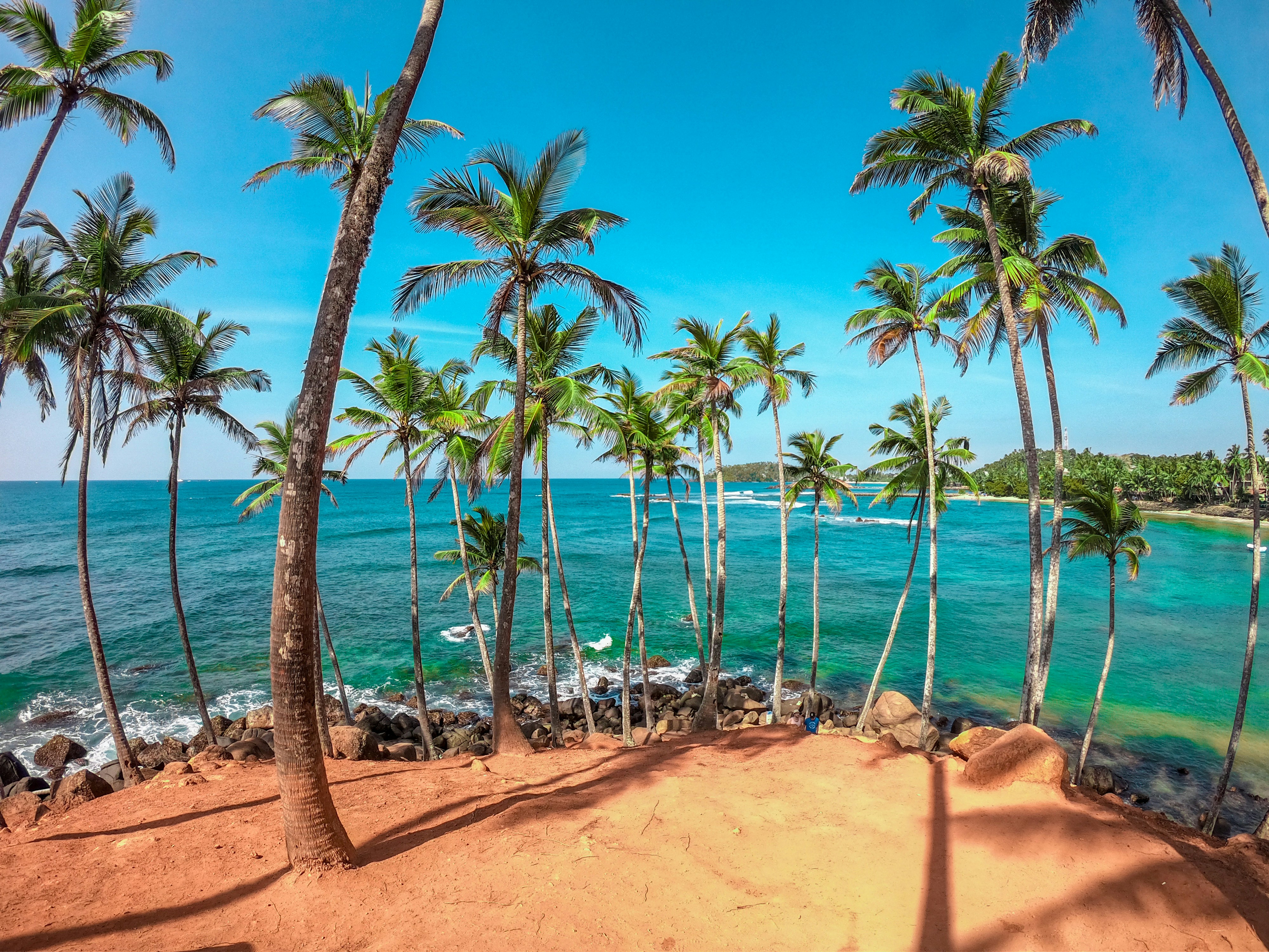 Strand auf Mauritius Hohe Palmen stehen am Ufer mit leicht felsigem Untergrund