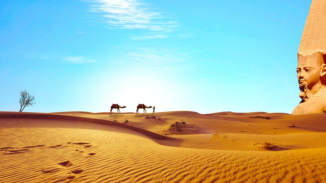 Wüste Sanddünen in der Wüste mit Kamelen