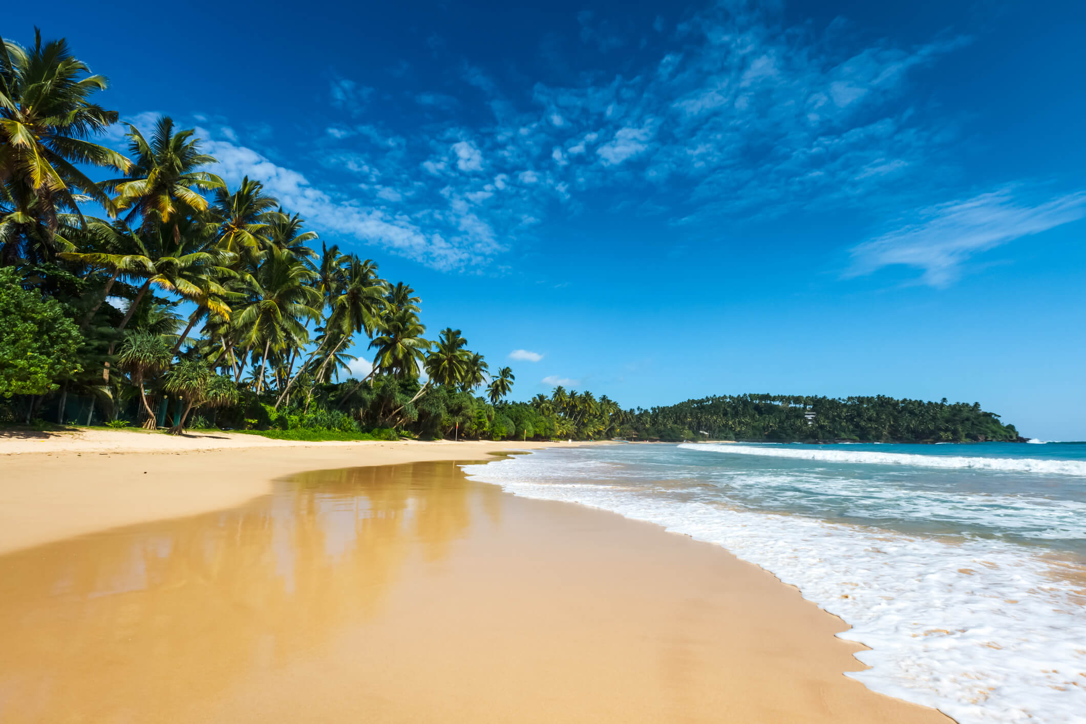 Goldgelber menschenleerer Strand mit Palmen und Meer