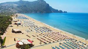 Goldgelber feinsandiger Strand mit Palmen und blauem Himmel