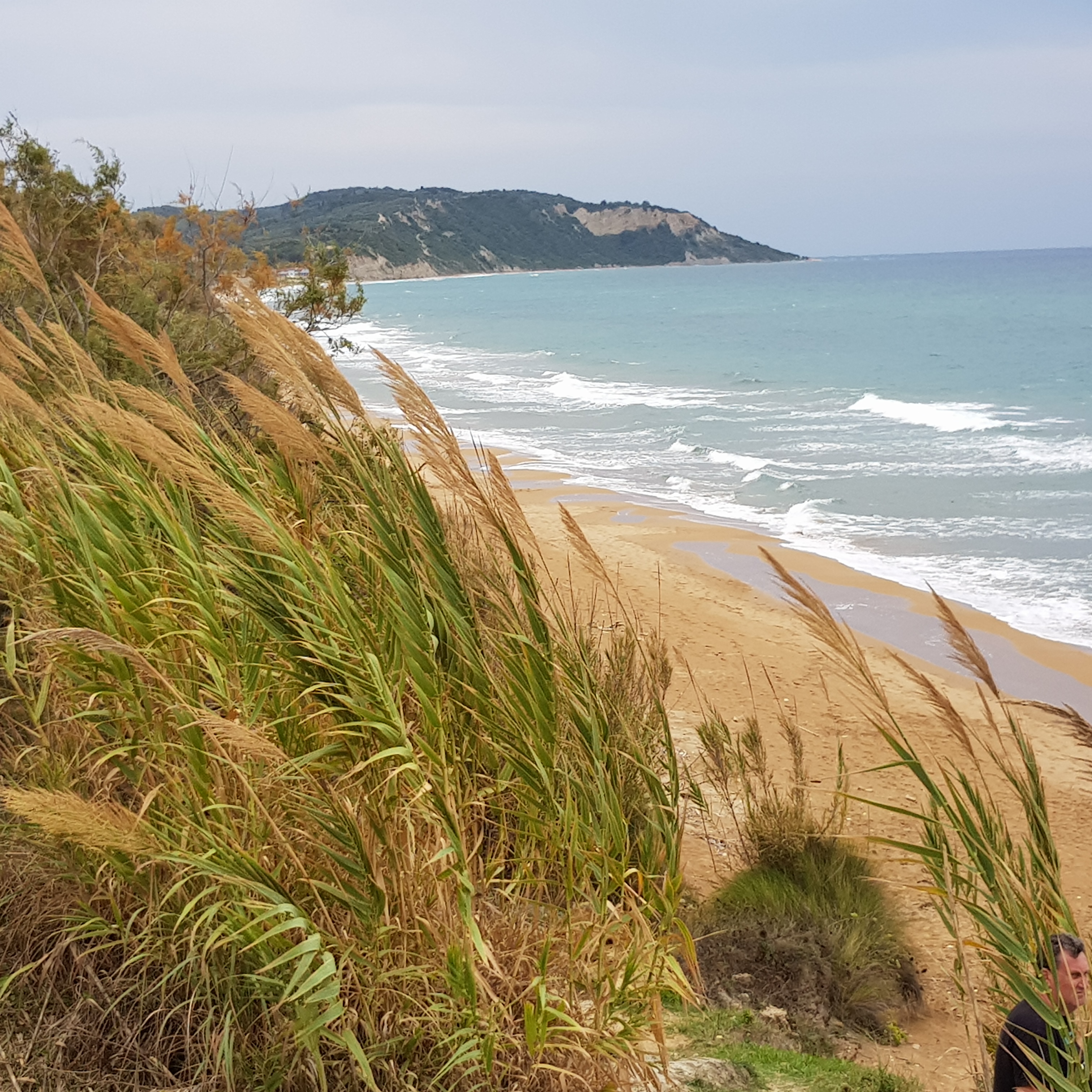 Die Wilde Westküste von Korfu Die wilde Westküste von Korfu mit langen naturbelassenen Sandstränden