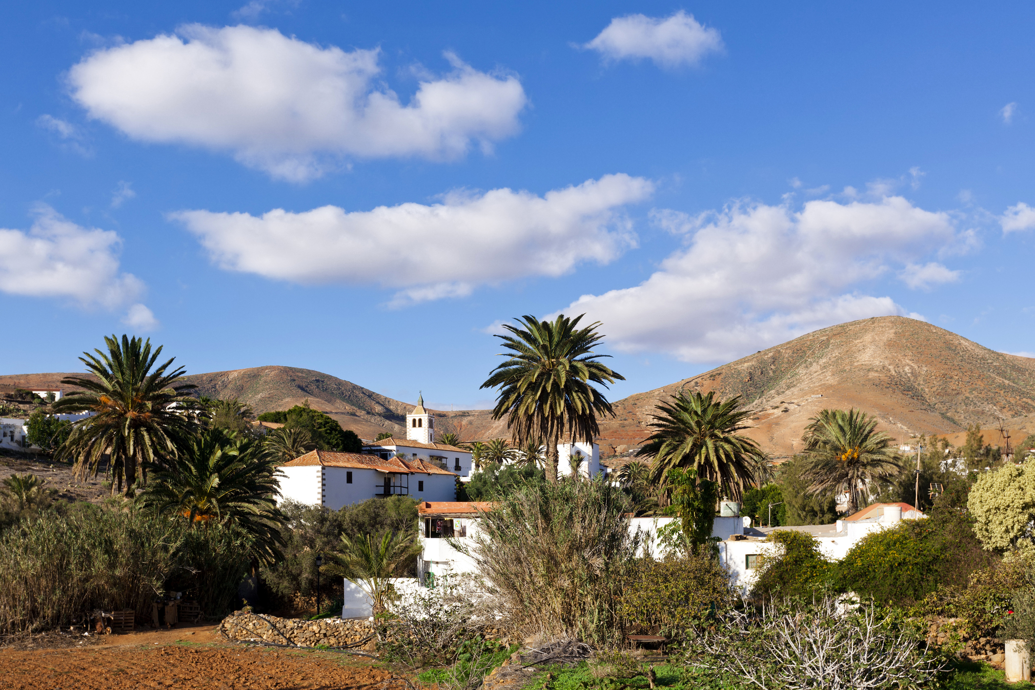 Fuerteventura Betancuria  grüne Landschaft mit weißen Häusern im Landesinnern der Insel
