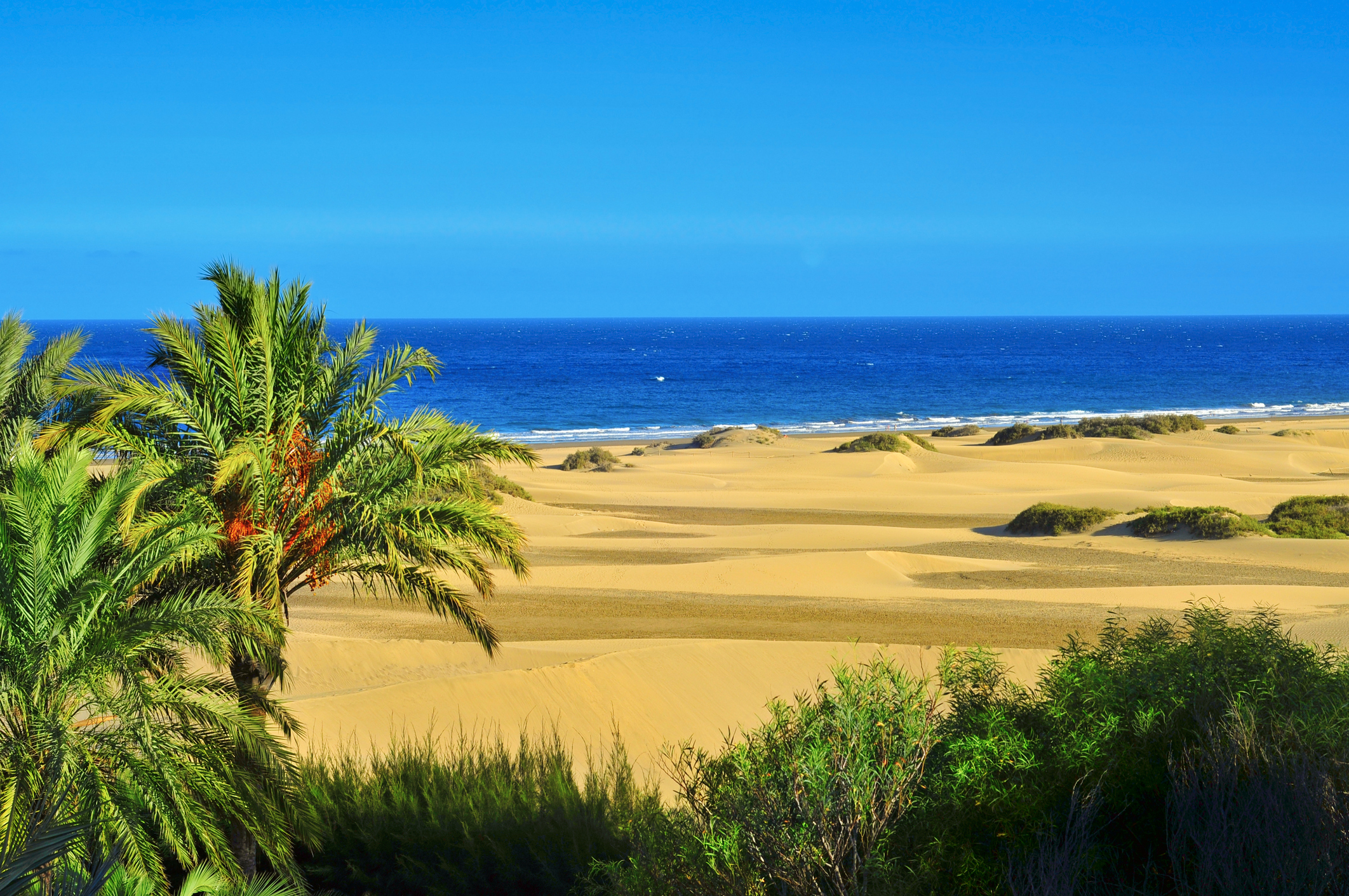 Gran Canaria Dünen Maspalomas Dünenlandschaft von Maspalomas mit Palmen und Meer im Hintergrund