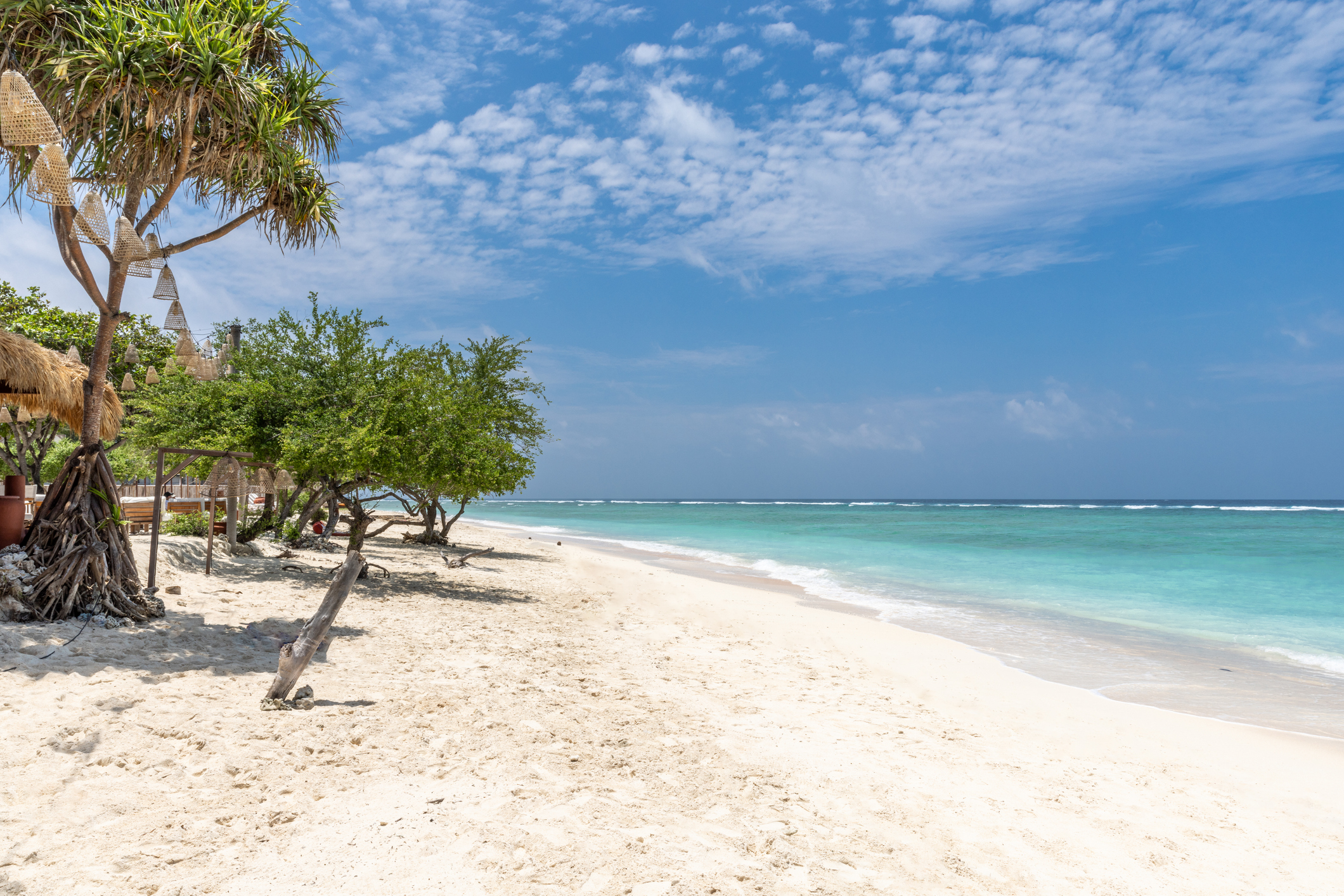 Menschenleerer feinsandiger Strand mit grünem Meer und ein paar schattenspenden  Bäumen 