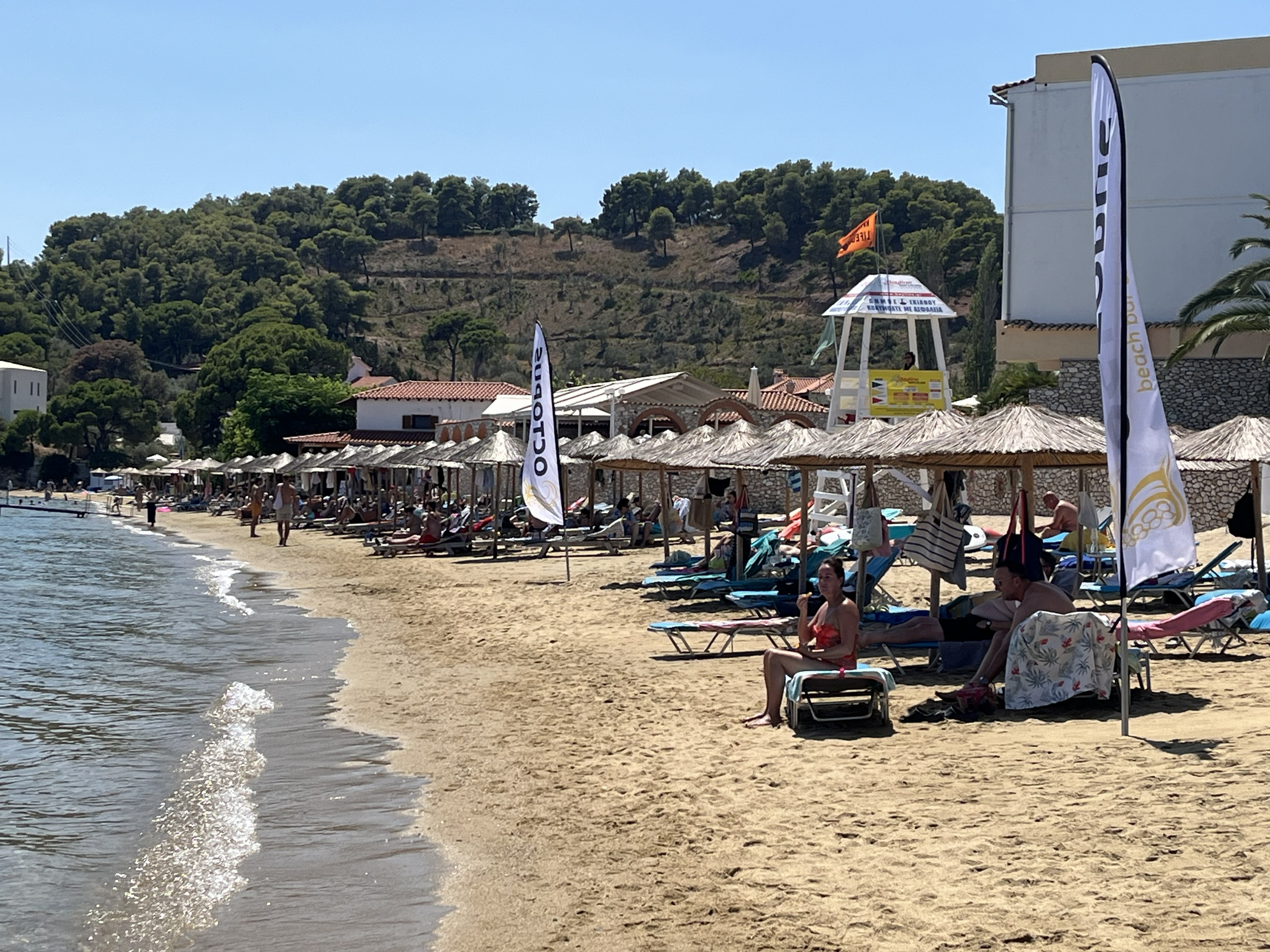 Mallorca Strände: Eine leere, türkis-blaue Bucht zwischen Pinienhainen 