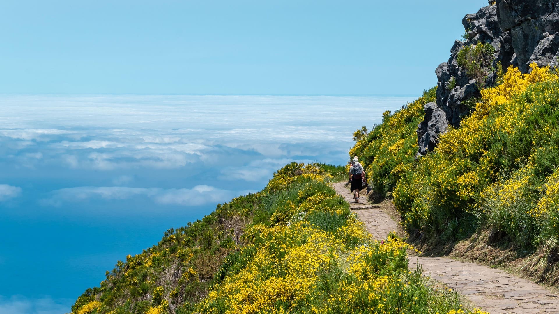 Portugal Urlaub Portugal Urlaub Wanderweg durch ein bewachsenes Gebirge