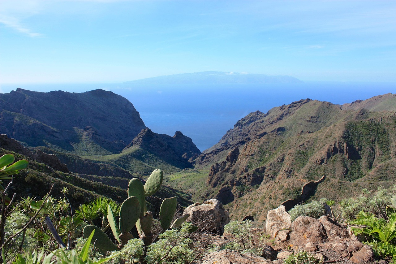 La Gomera Urlaub Blick in ein grünes Tal mit Kakteen und anderen Pflanzen und Meer im Hintergrund
