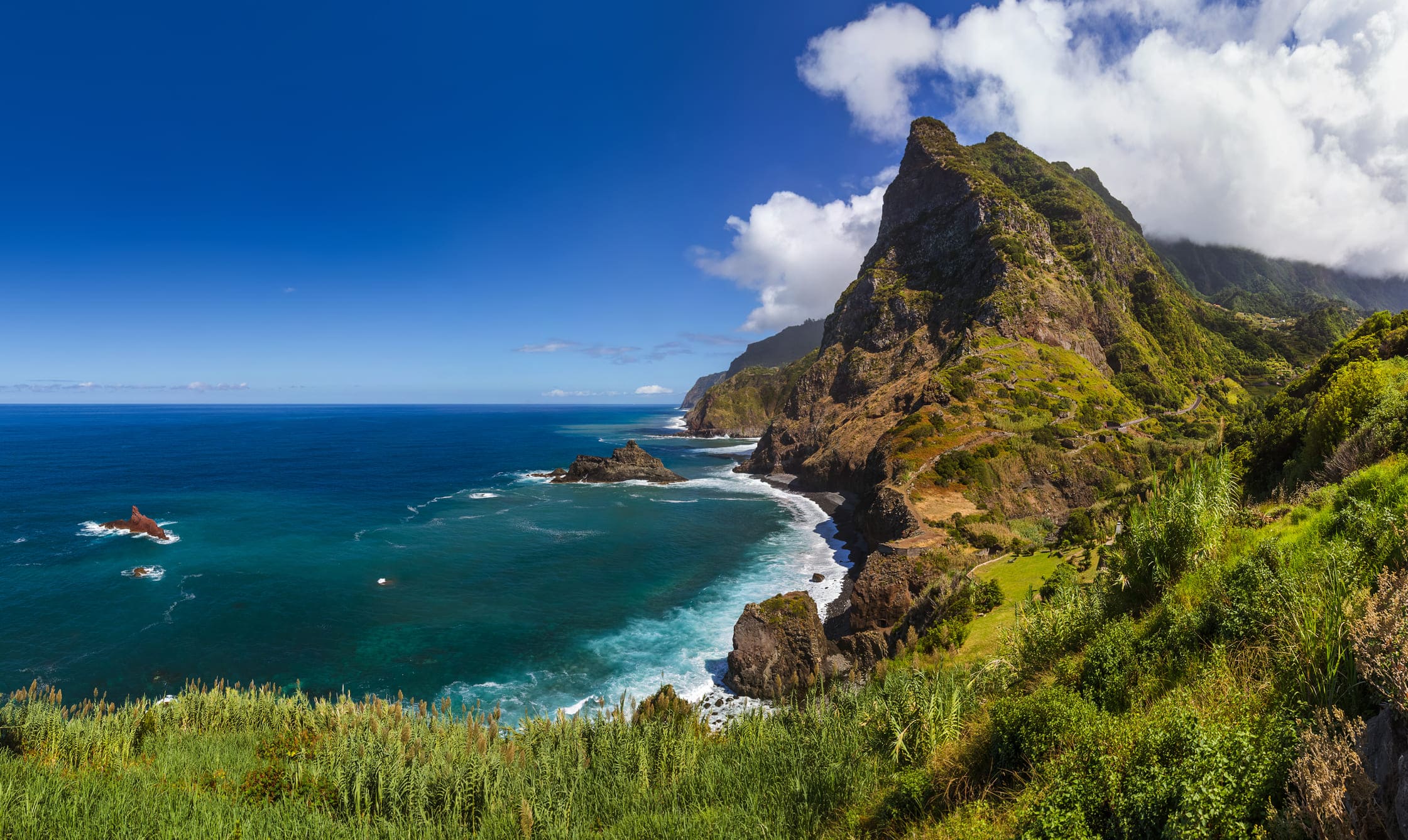 Grün bewachsene Steilküste am Meer mit Brandung auf Madeira