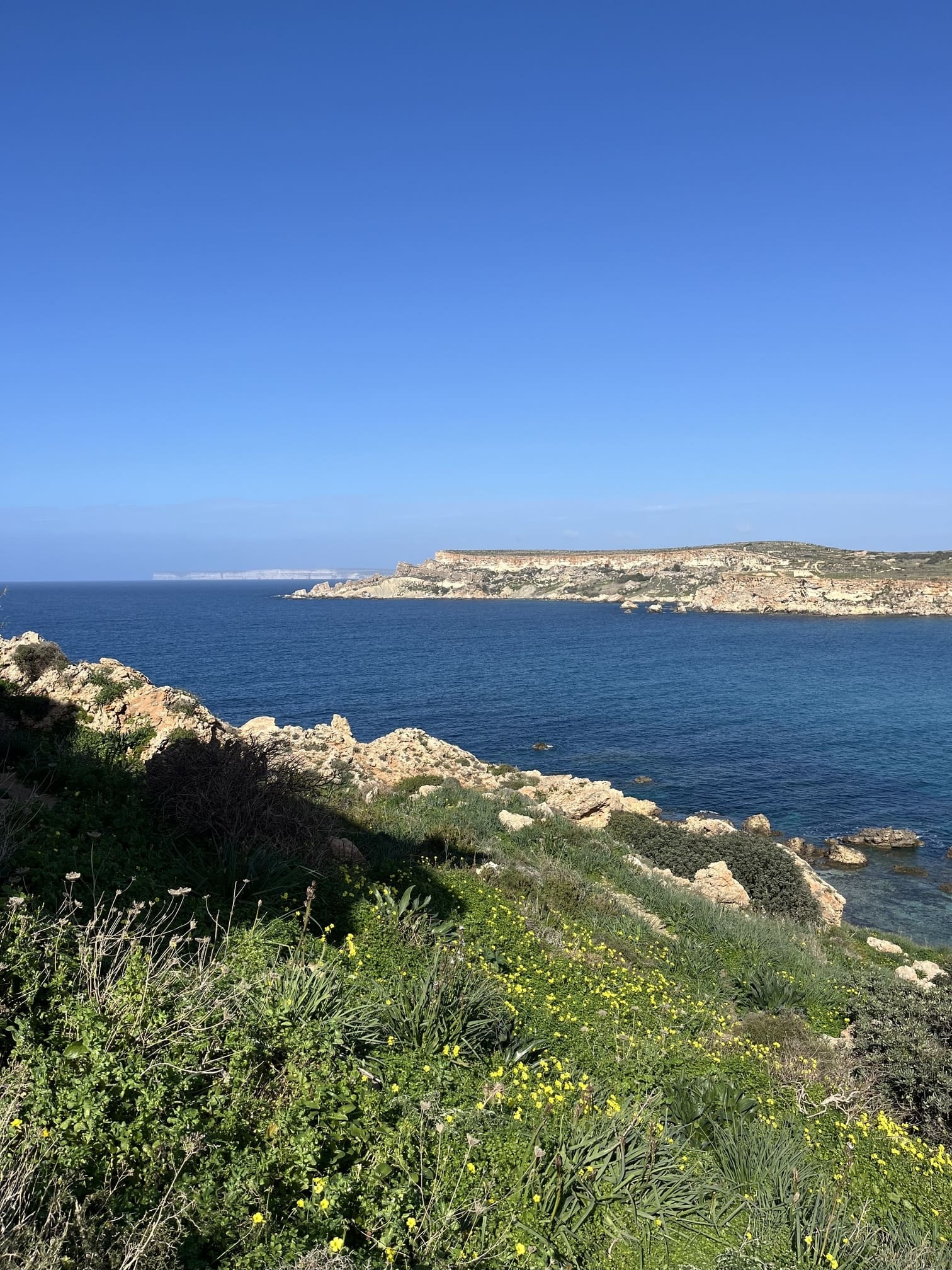 Felsige Küste von Malta mit blauem  Meer
