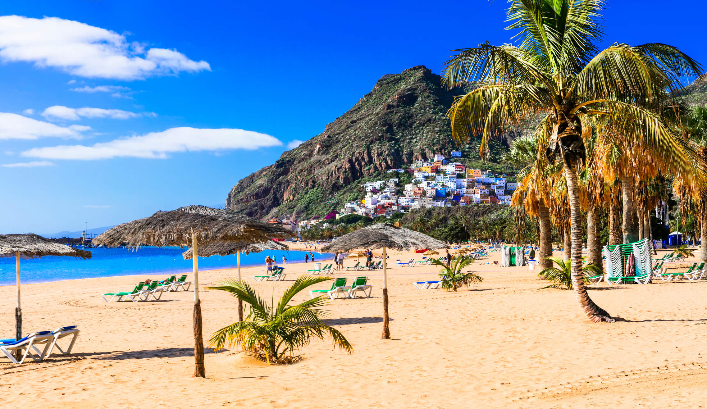 Teneriffa Urlaub Strandbucht mit Palmen im Teneriffa Urlaub