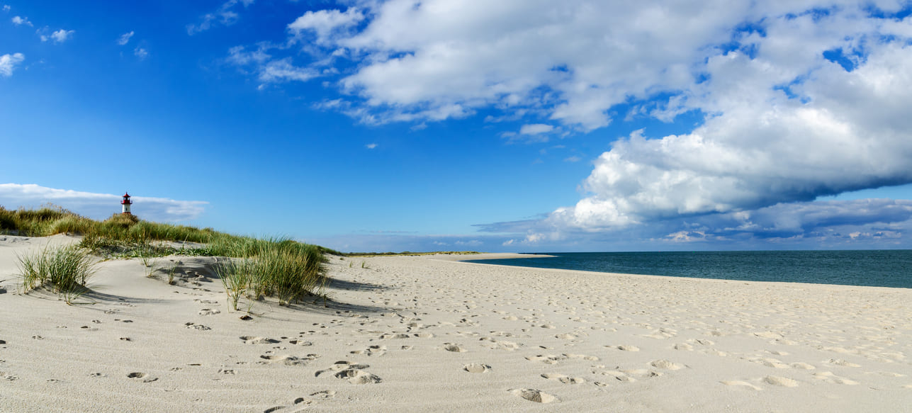 Urlaub an der Nordsee Menschenleerer Strand mit kleinen Dünen