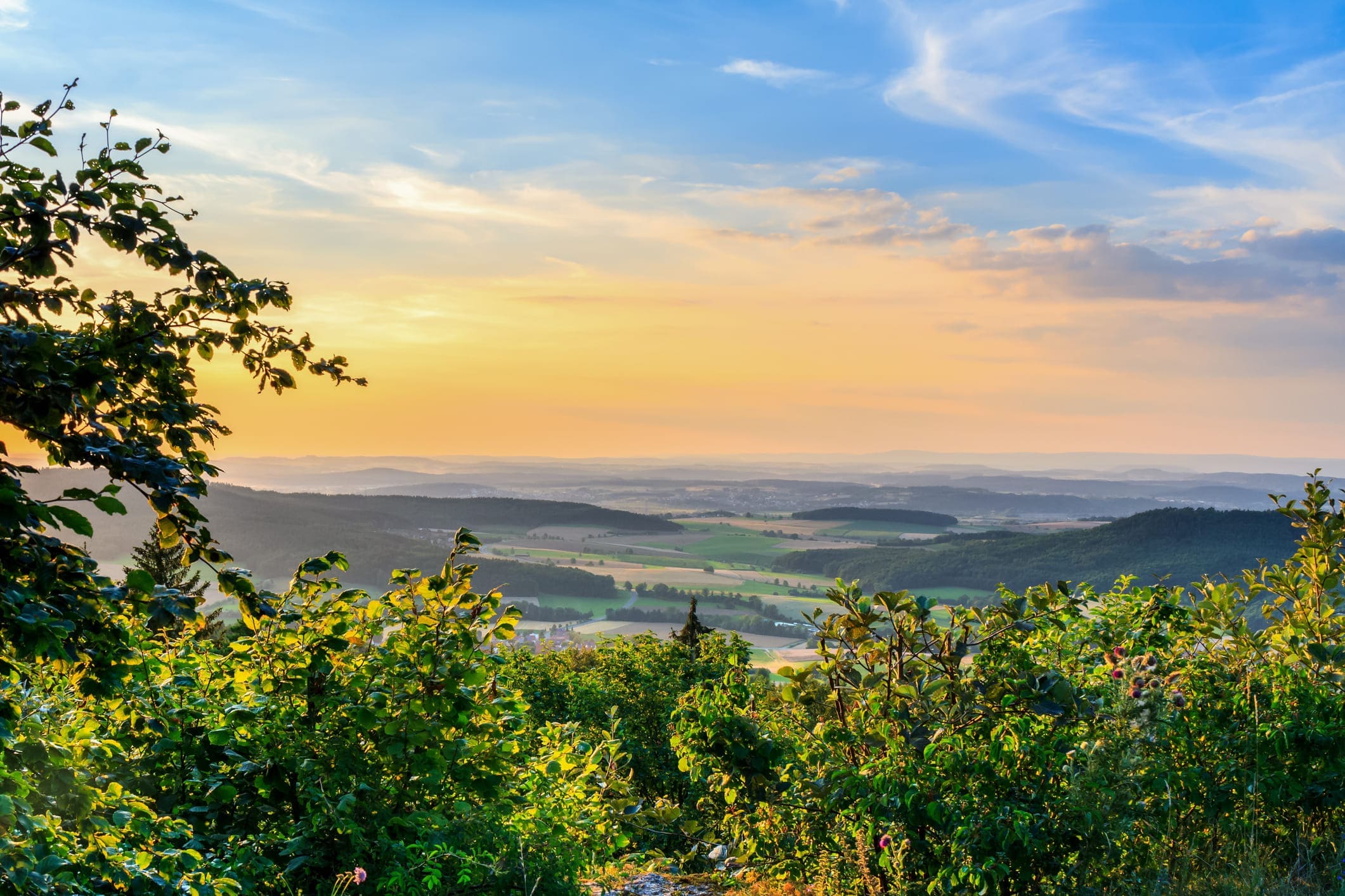 Hügelige Landschaft mit grünen Weinbergen