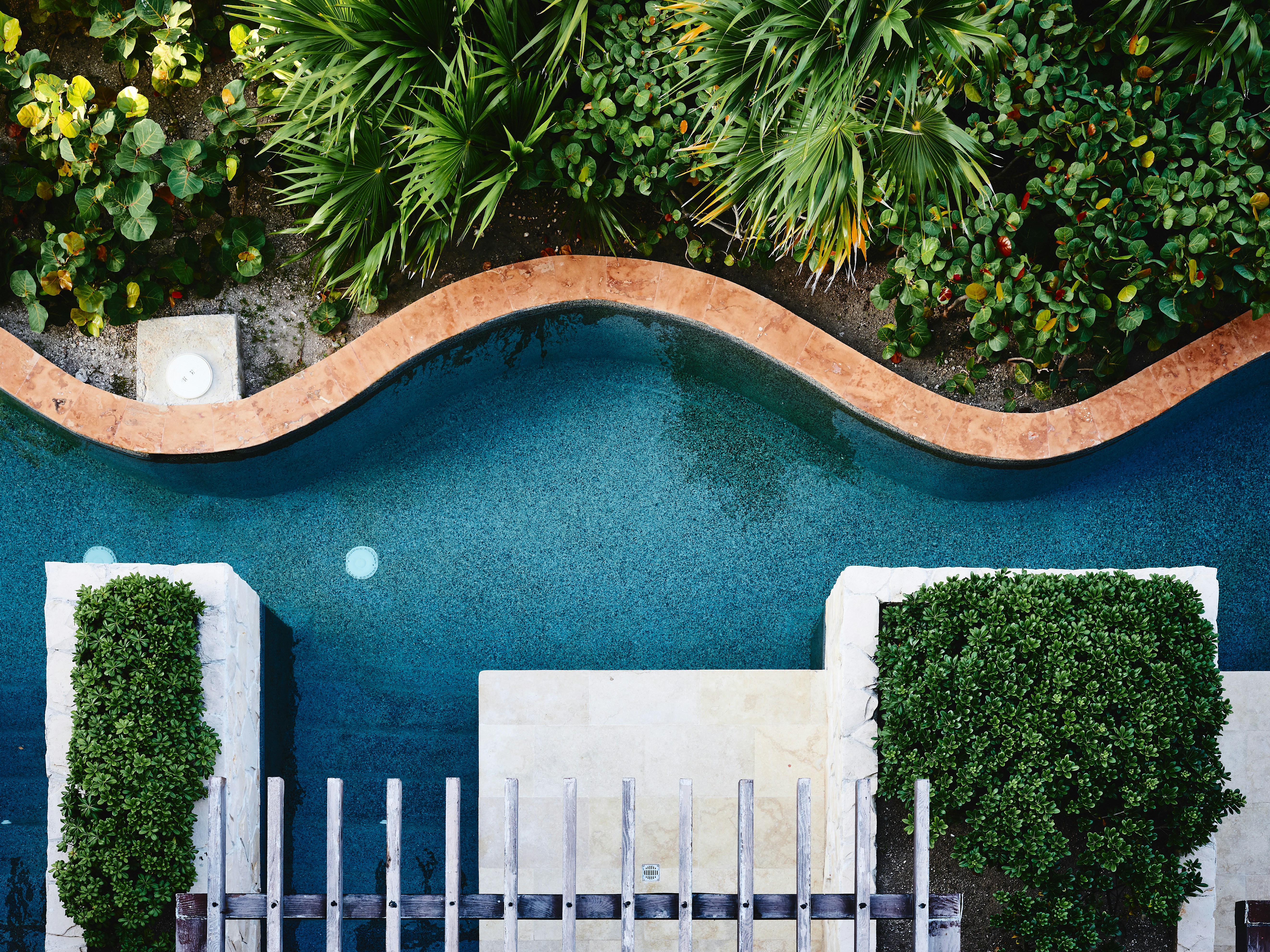 Spa Hotel in Spanien Eine Luftaufnahme eines Pools an teils tropischen Pflanzen.