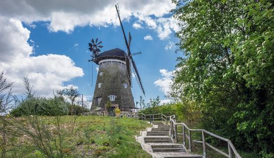 Urlaub an der Nordsee eine alte norddeutsche Mühle steht auf einem grünen Hügel