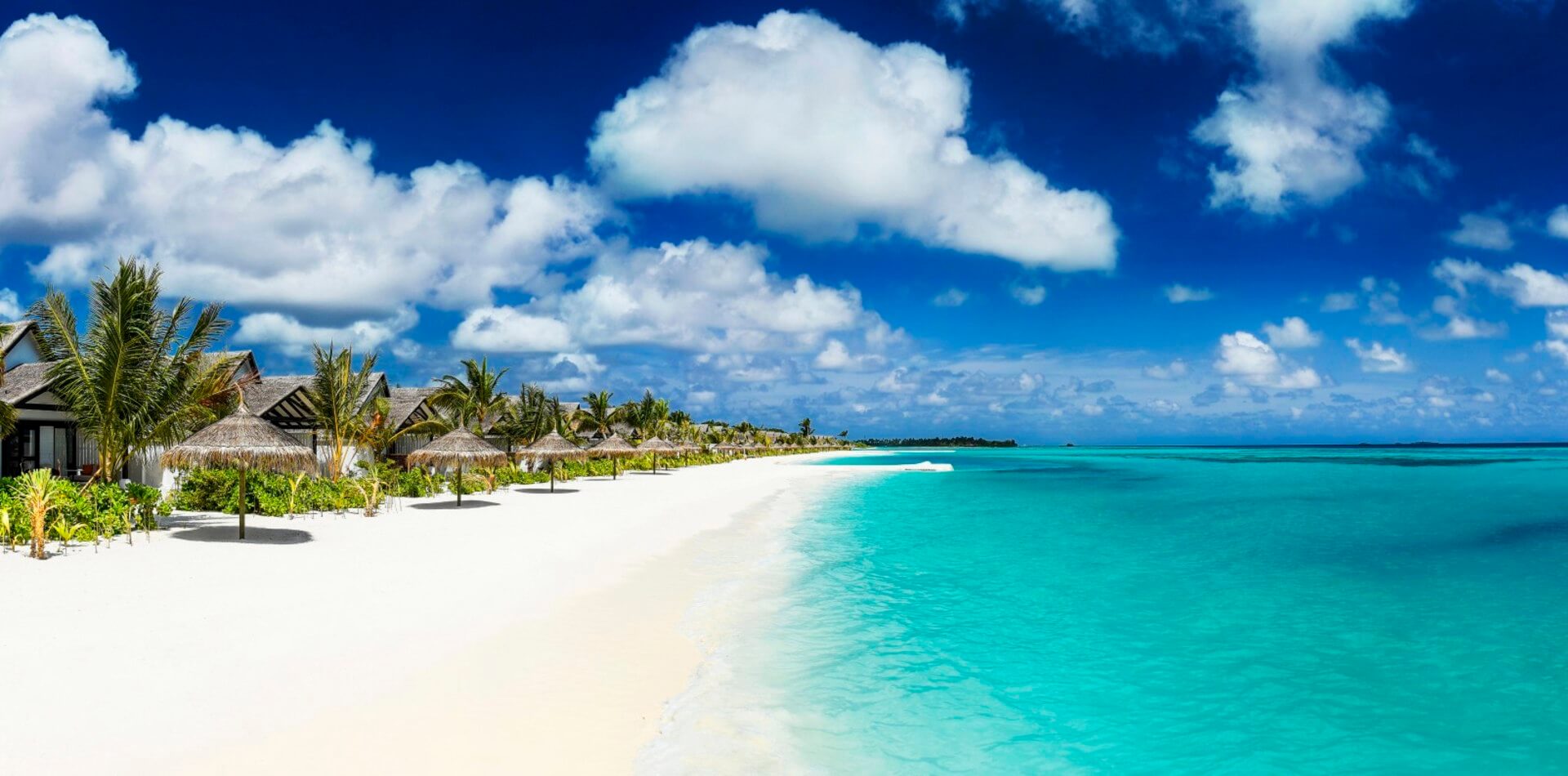 Menschenleerer weißer Strand mit Sonnenschirmen und Palmen