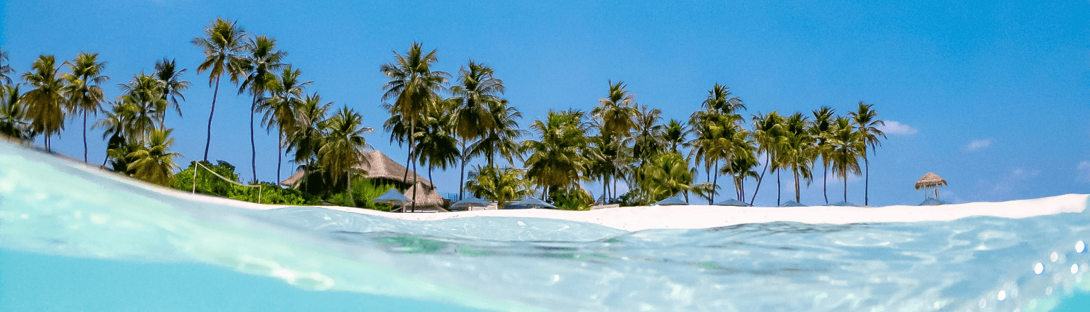Urlaub im Januar Tropischer Strand mit Palmen und klarem Ozean